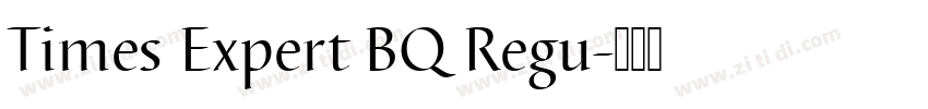Times Expert BQ Regu字体转换